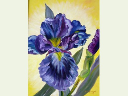DH_pix03