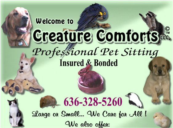 Creature Comforts Professional Pet Sitting