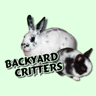 Backyard Critters