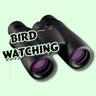 Bird Watching