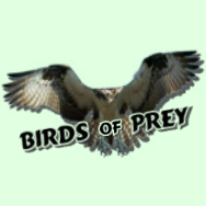 Birds of Prey
