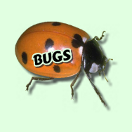 Bugs