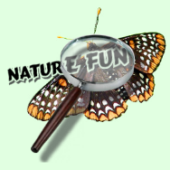 Nature Fun