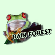Rain Forest