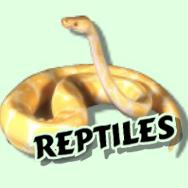 Reptiles